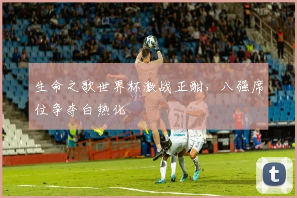 生命之歌世界杯激战正酣，八强席位争夺白热化