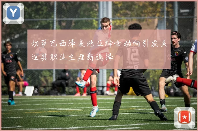 切萨巴西泽麦地亚转会动向引发关注其职业生涯新选择